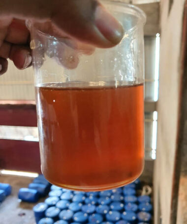 GP UPR 6202 - Dark Yellow