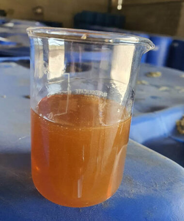 GP UPR 6202 LV - Dark Yellow